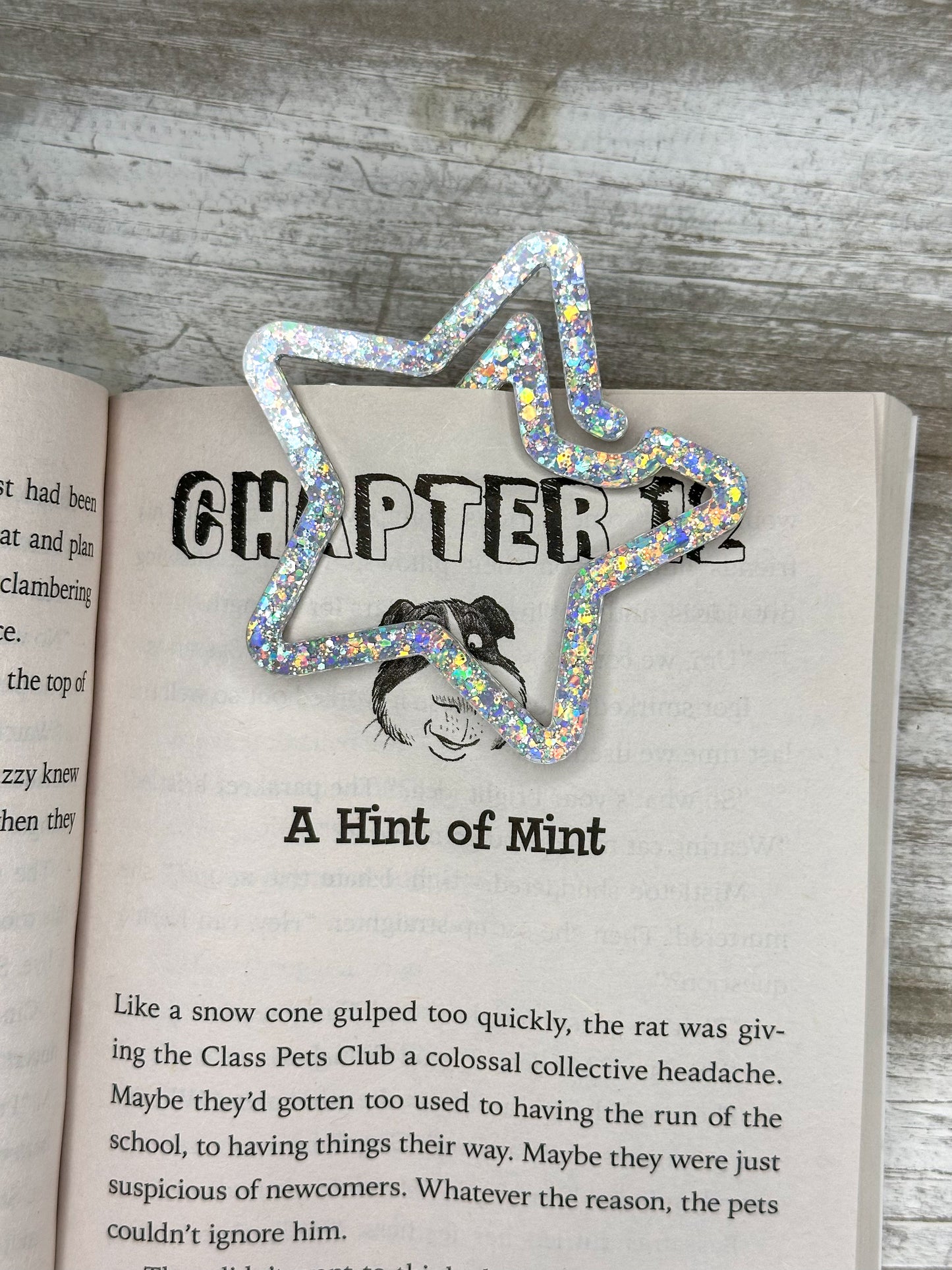 Star Paperclip/Bookmark