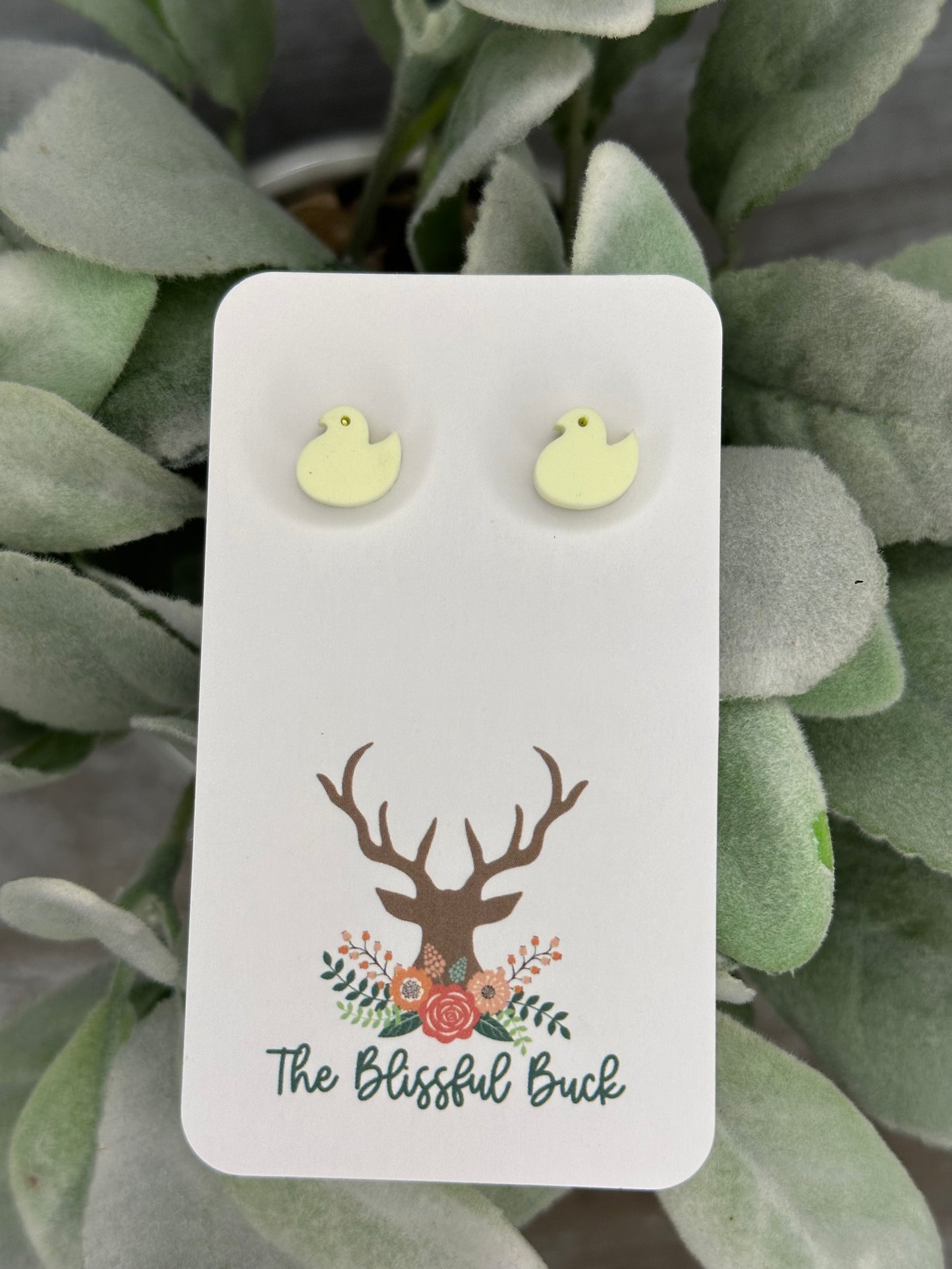 Chick Peep Stud Earrings